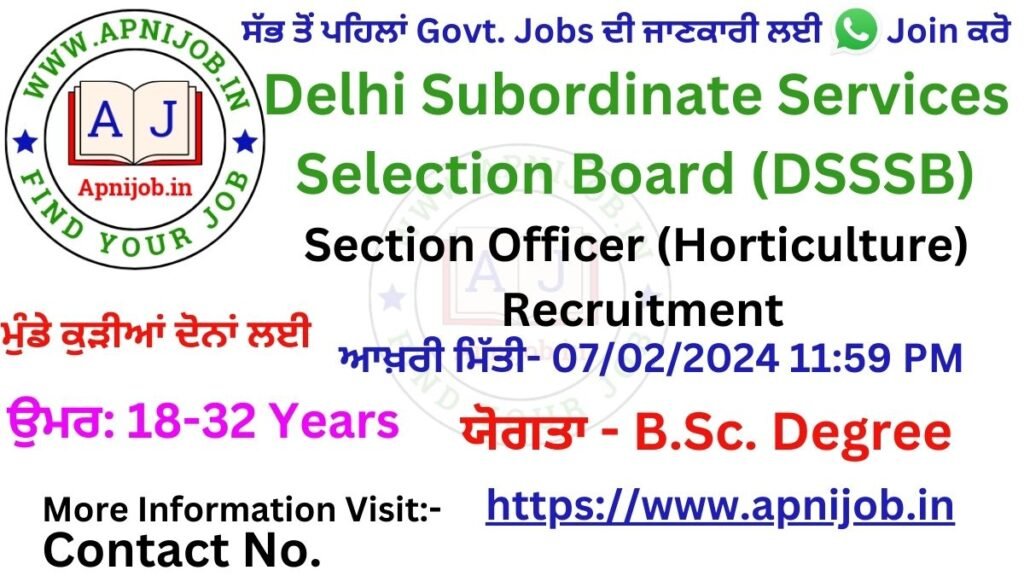 DSSSB Section Officer 108 Vacancy Online Form 2024